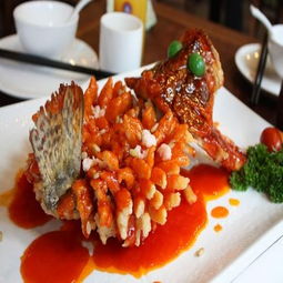 小廚娘淮揚(yáng)菜加盟條件、費(fèi)用及聯(lián)系方式詳解